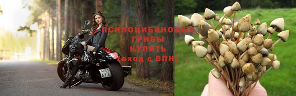 шишки Бугульма