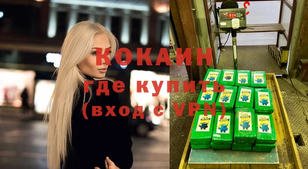 mdpv Бородино