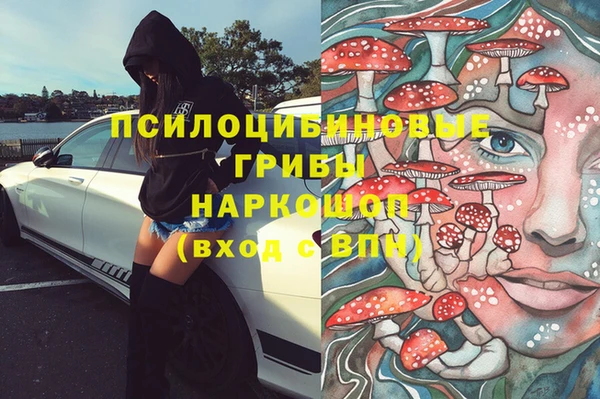 СК Бронницы