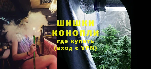 mdpv Богданович
