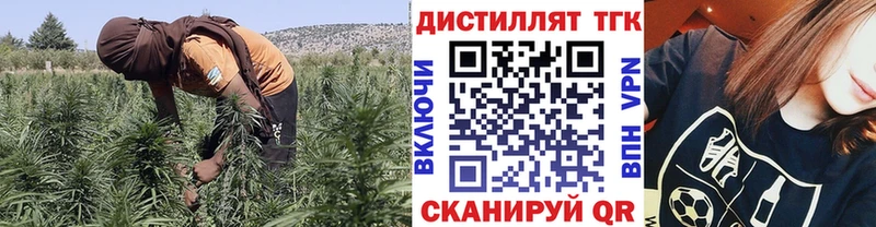 MEGA ссылки  Грозный  ТГК вейп с тгк  купить  