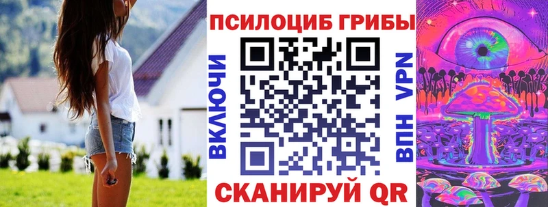сколько стоит  Грозный  Псилоцибиновые грибы Psilocybine cubensis 